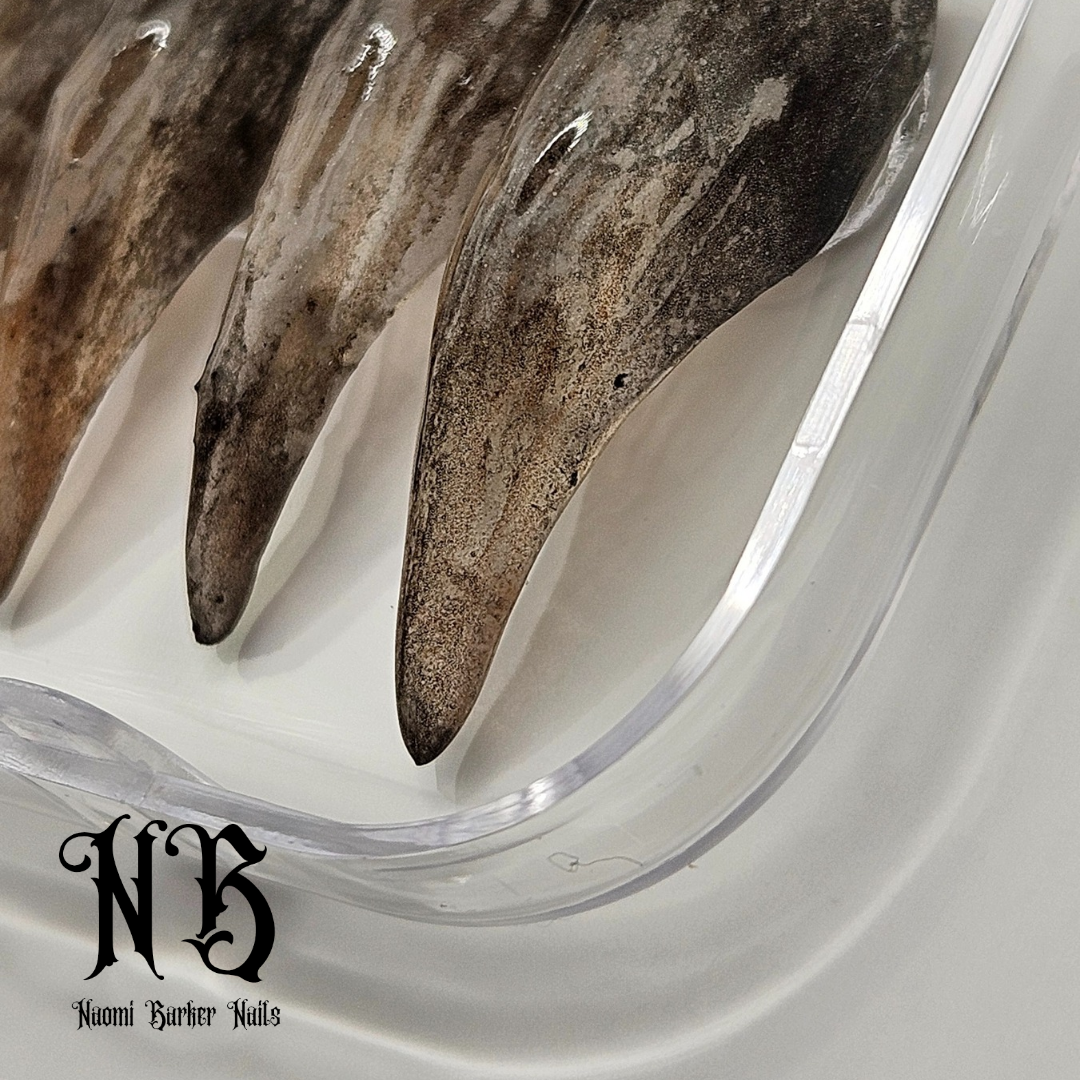 Realistic Dirty Claws